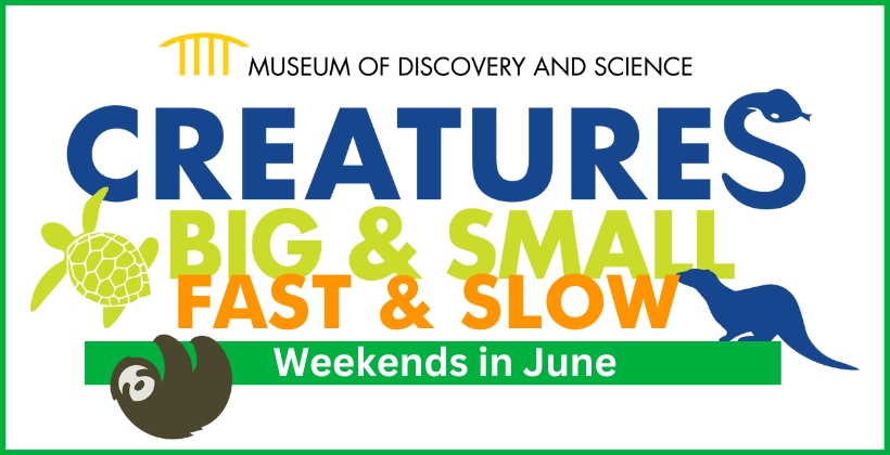 Creatures: Big & Small, Fast & Slow Weekends in June